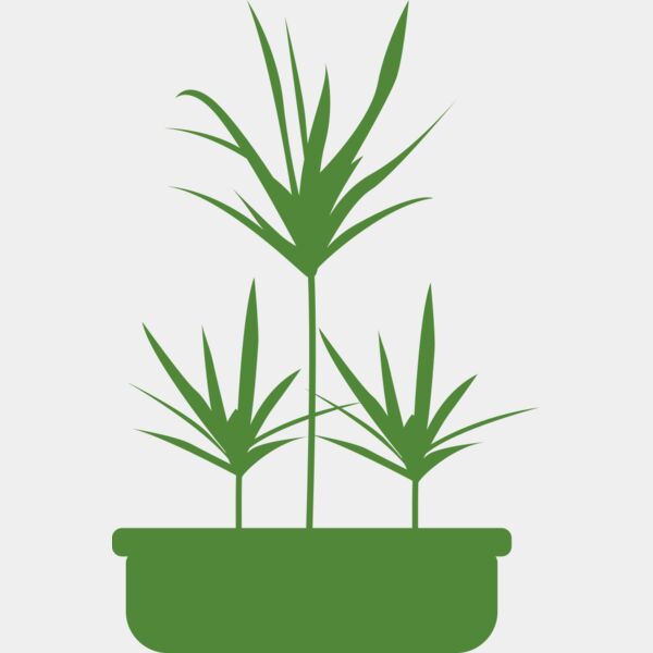 Plants 5 Thumbnail